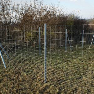 Wildzaunpfahl CW 40