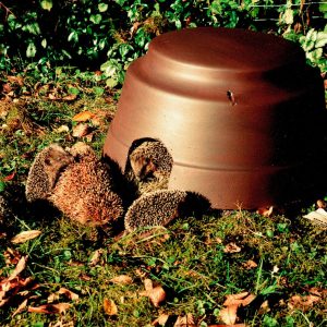 Igelkuppel mit Isolierboden Igelkuppel mit Isolierboden