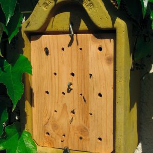 Insektennisthaus zum Beobachten Insektennisthaus zum Beobachten