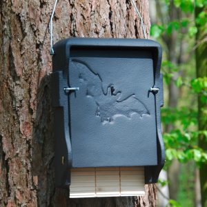 Fledermausflachkasten 1 FF Fledermausflachkasten 1 FF