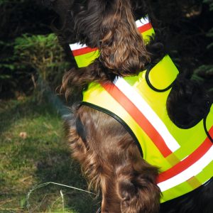 Nordforest Hunting Hundewarnweste