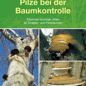 Pilze bei der Baumkontrolle – Erkennen wichtiger Arten an Straßen- und Parkbäumen Pilze bei der Baumkontrolle – Erkennen wichtiger Arten an Straßen- und Parkbäumen