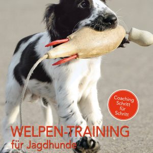Welpen-Training für Jagdhunde – Das 24 Wochen-Ausbildungsprogramm