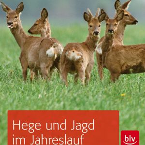 Hege und Jagd im Jahreslauf – Revierpraxis von Januar bis Dezember