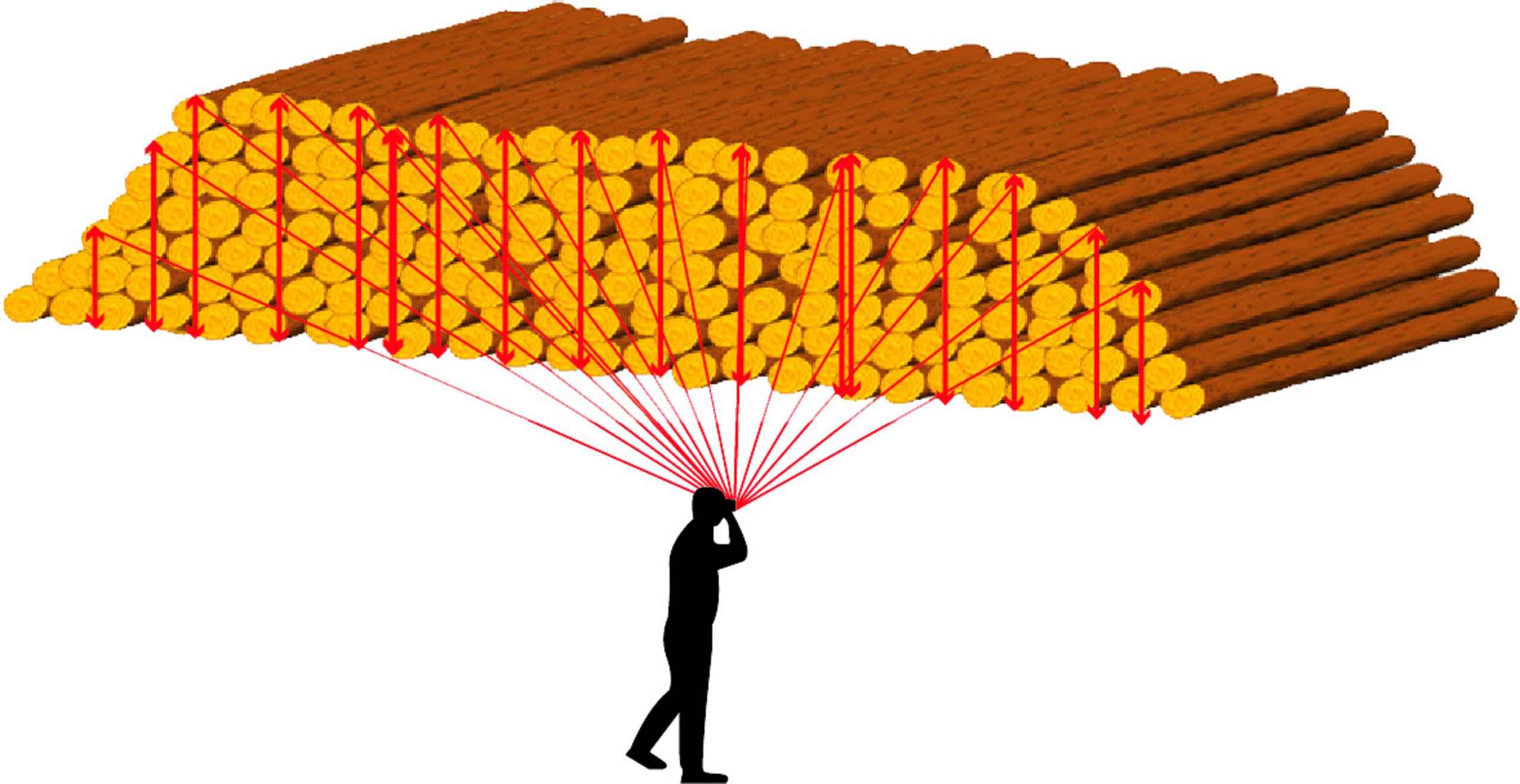 Haglöf Software 3D Pile für Laser Geo