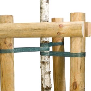 Baumpfahlbänder