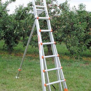 Siedra Obstbaumleiter Baumfreund Siedra Obstbaumleiter Baumfreund