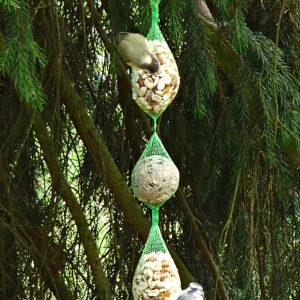Tedje Meisenknödel-und-Erdnussbeutel-Futterkette