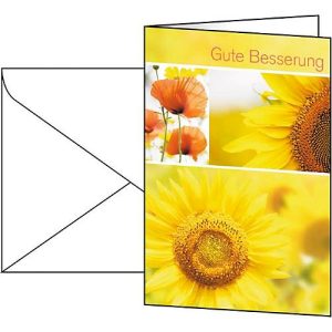 Glückwunsch-Karten Gute Besserung, inkl. weißer Umschläge, 10 Stück