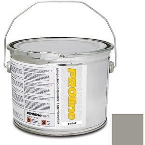 Hallenmarkierungsfarbe PROline-paint, stein