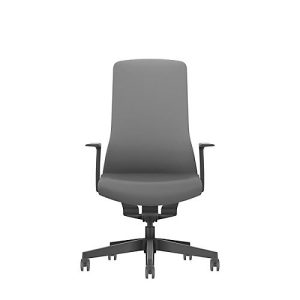 Interstuhl Bürostuhl PUREis3, feste Armlehnen, 3D-Auto-Synchronmechanik, Muldensitz, Polster-Netzrücken, eisengrau/schwarz