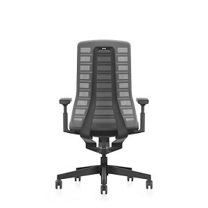 Interstuhl Bürostuhl PUREis3, verstellbare Armlehnen, 3D-Auto-Synchronmechanik, Muldensitz, Netzrücken, eisengrau/schwarz
