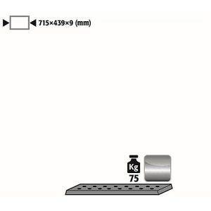 Lochblecheinsatz Standard für asecos Sicherheitsschränke der UB90 und UB30 Serie, Edelstahl 1.4016, B 717 x T 436 x H 9 mm, bis 75 kg