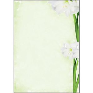 Motivpapier Sigel ‚Green Flower‘, A4, 90 g/m², Blumen-Motiv, 25 Blatt