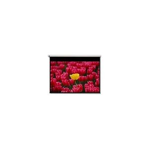 Optoma Panoview DE-9120EGA – Leinwand – motorisiert – 305 cm (120′) – 16:9 – Matte White