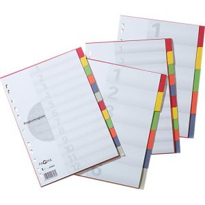 PAGNA Kartonregister mit Deckblatt, zur freien Verwendung, 12 Blätter, 6-farbig
