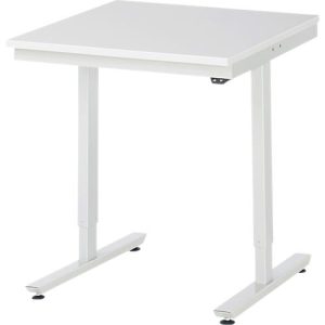Rau Arbeitstisch Adlatus, elektrisch höhenverstellbar, 22 mm Spanplatte mit Melaminbelag, bis 150 kg, B 750 x T 800 x H 720-1120 mm, lichtgrau