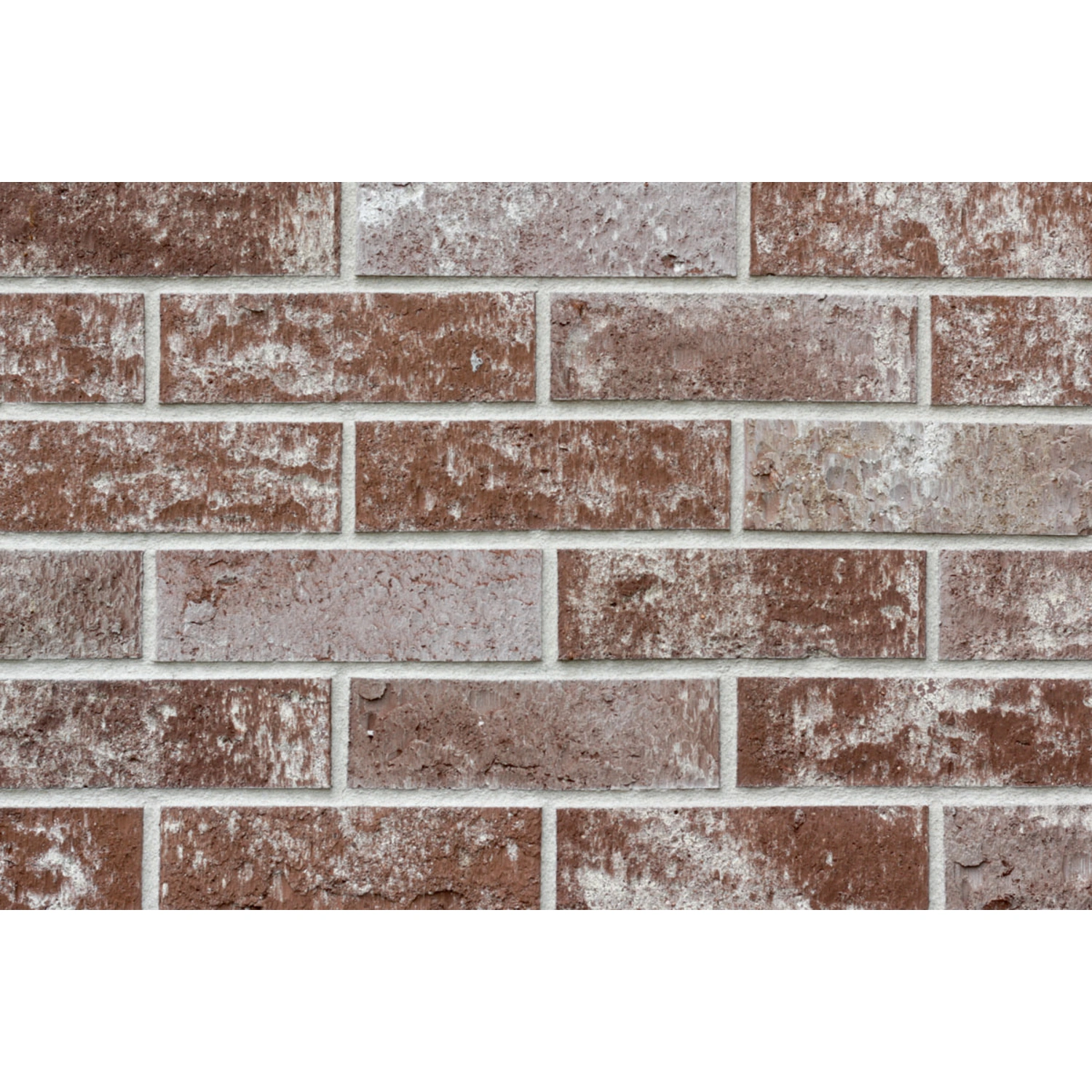 Verblendsteine »Vintage«, portland, 0,67 m²