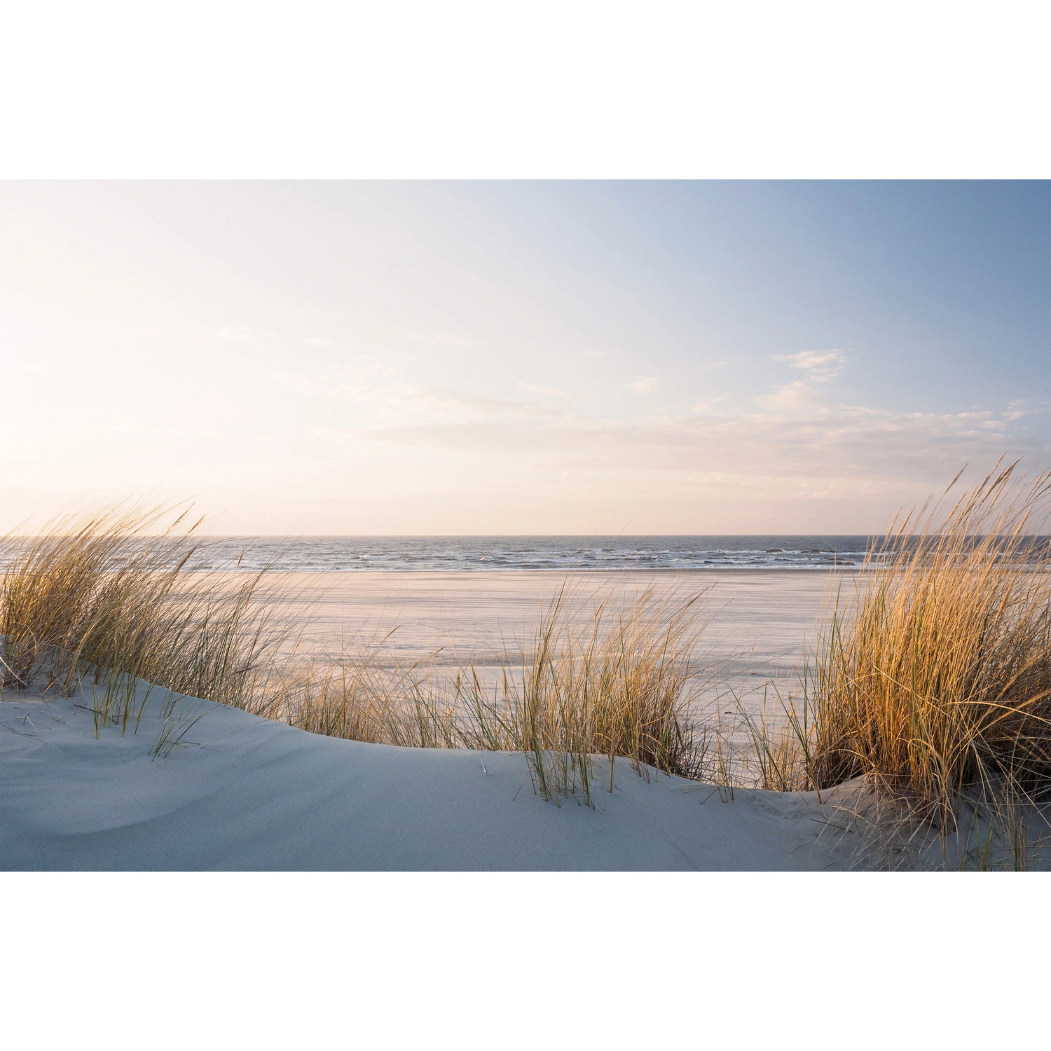Keilrahmenbild »Stranddüne«, BxH: 118 x 78 cm