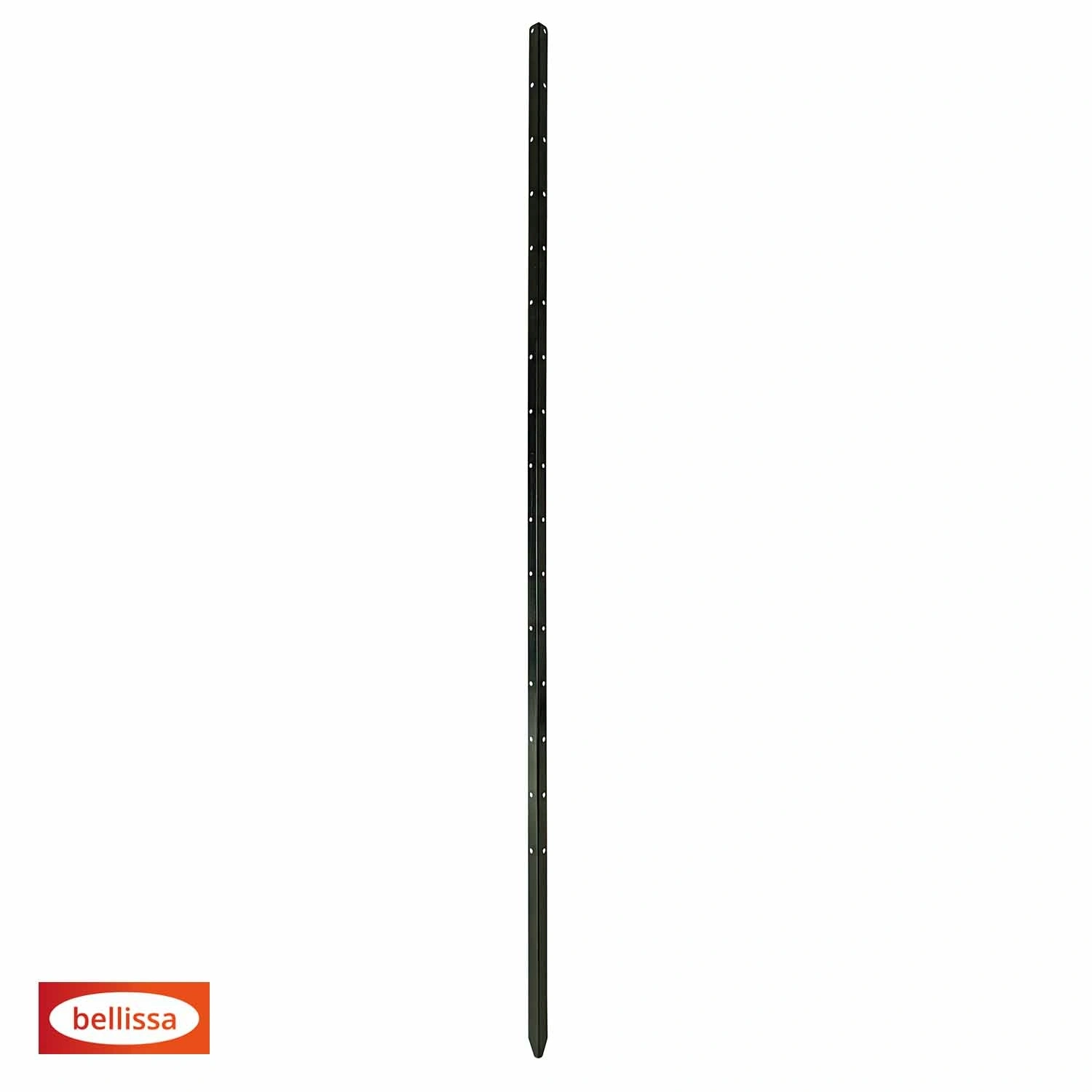 Pflanzstab »Timo«, LxH: 3 x 180 cm, Silber