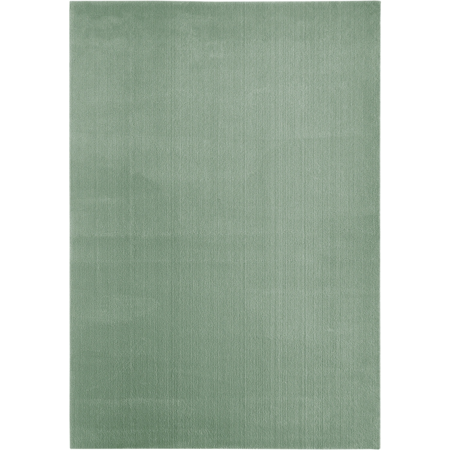 Teppich »Arezzo«, 120×170 cm, salbeigrün