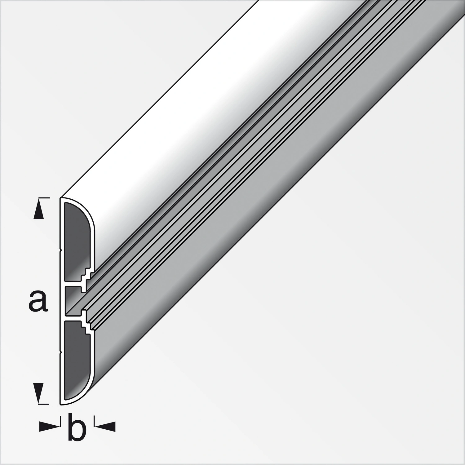 Aluminiumschiene, HxL: 1 x 100 cm