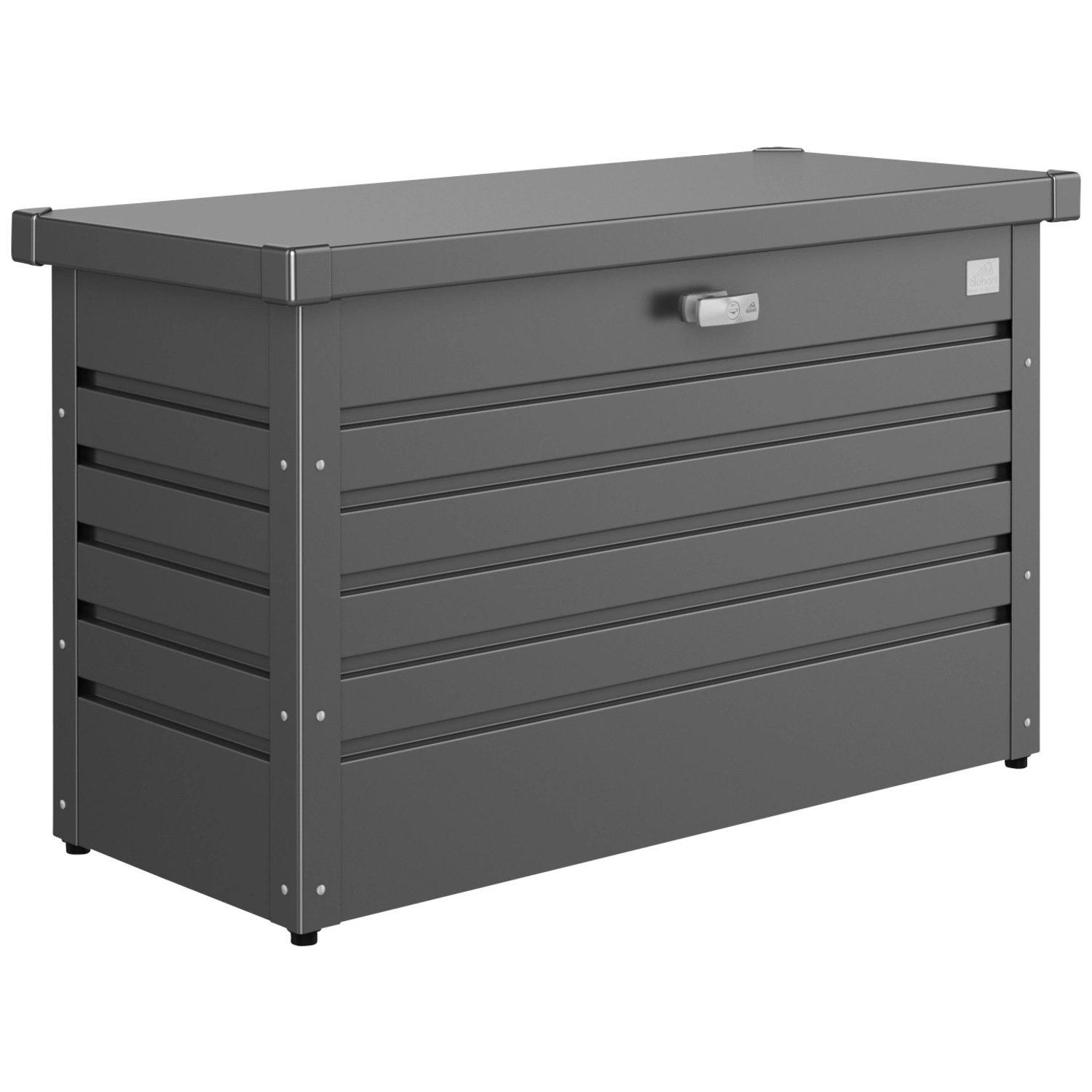 Aufbewahrungsbox »FreizeitBox«, BxHxT: 101 x 61 x 46 cm, dunkelgrau-metallic