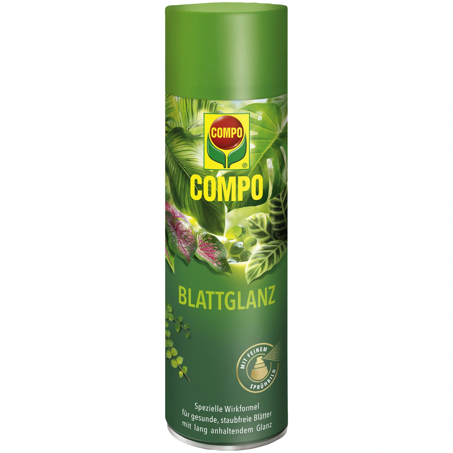 Blattglanzspray, 300ml, 1 Stück Aerosoldose