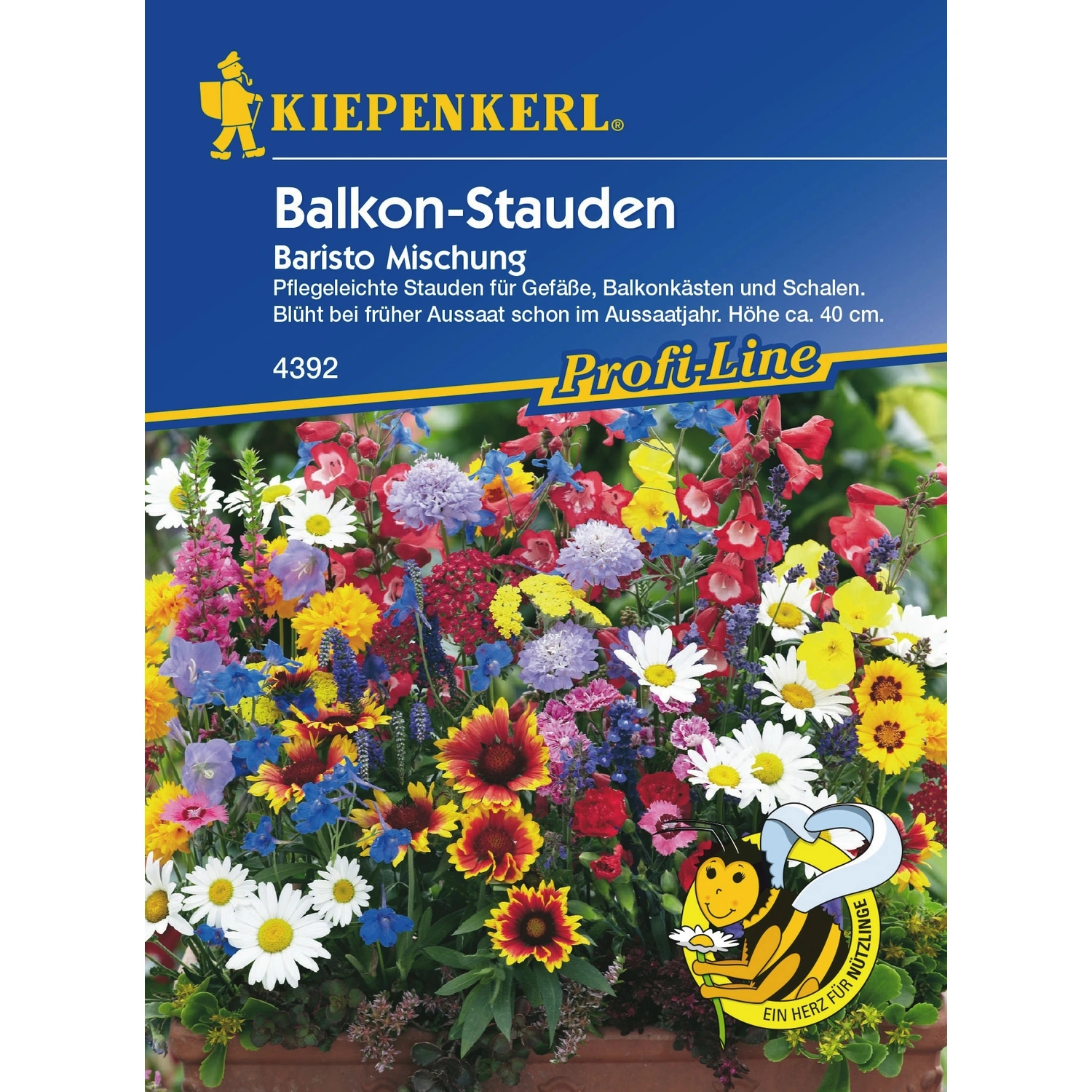 Blumenmischung »Balkon-Stauden Baristo«, ca. 5 lfd. Meter