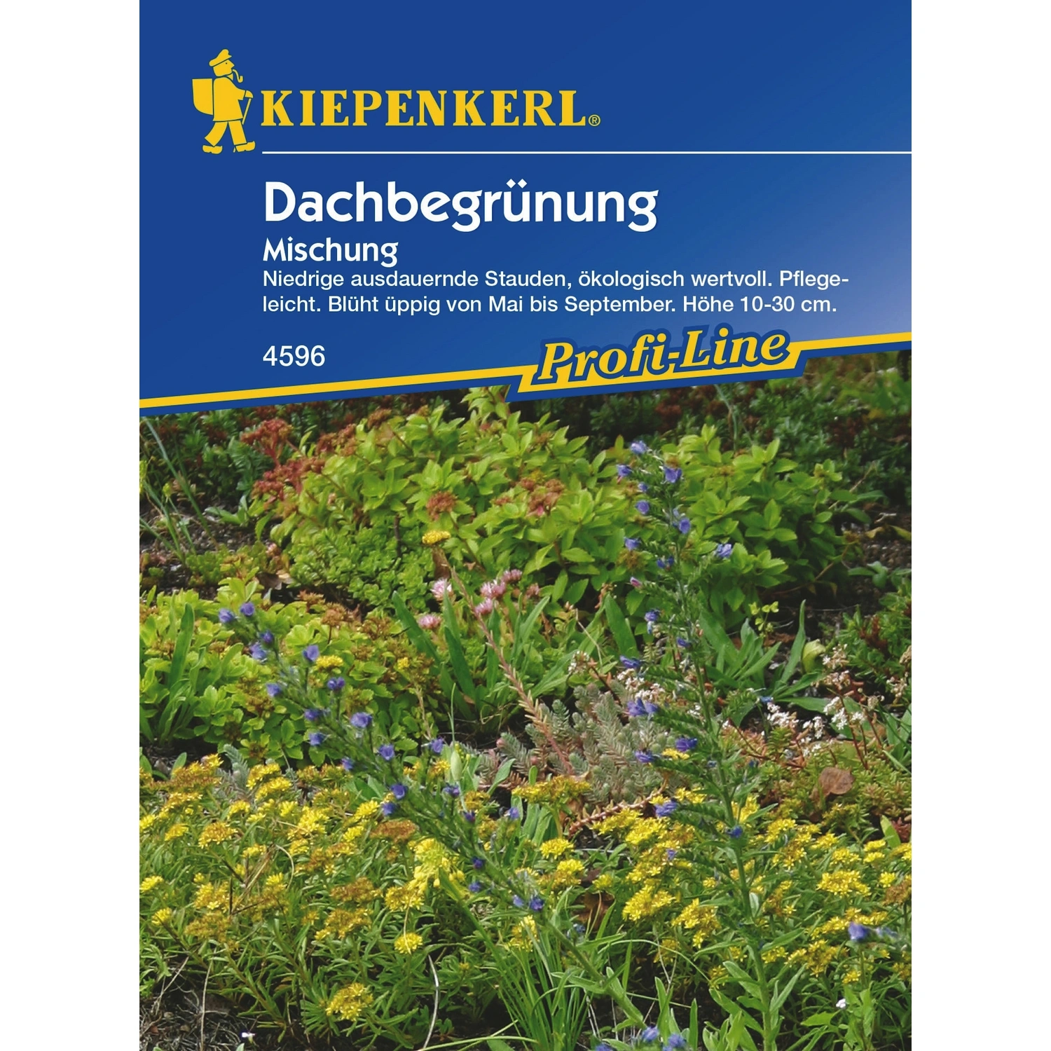 Blumenmischung »Dachbegrünung«, 3 – 4 m²
