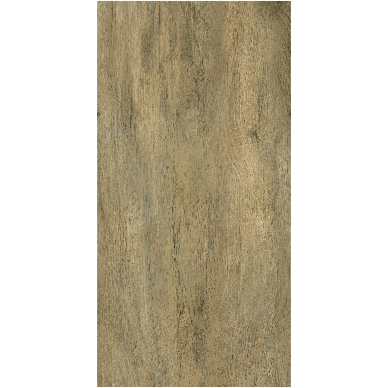 Bodenfliese »Teak«, Feinsteinzeug, BxL: 30 x 60 cm, beige