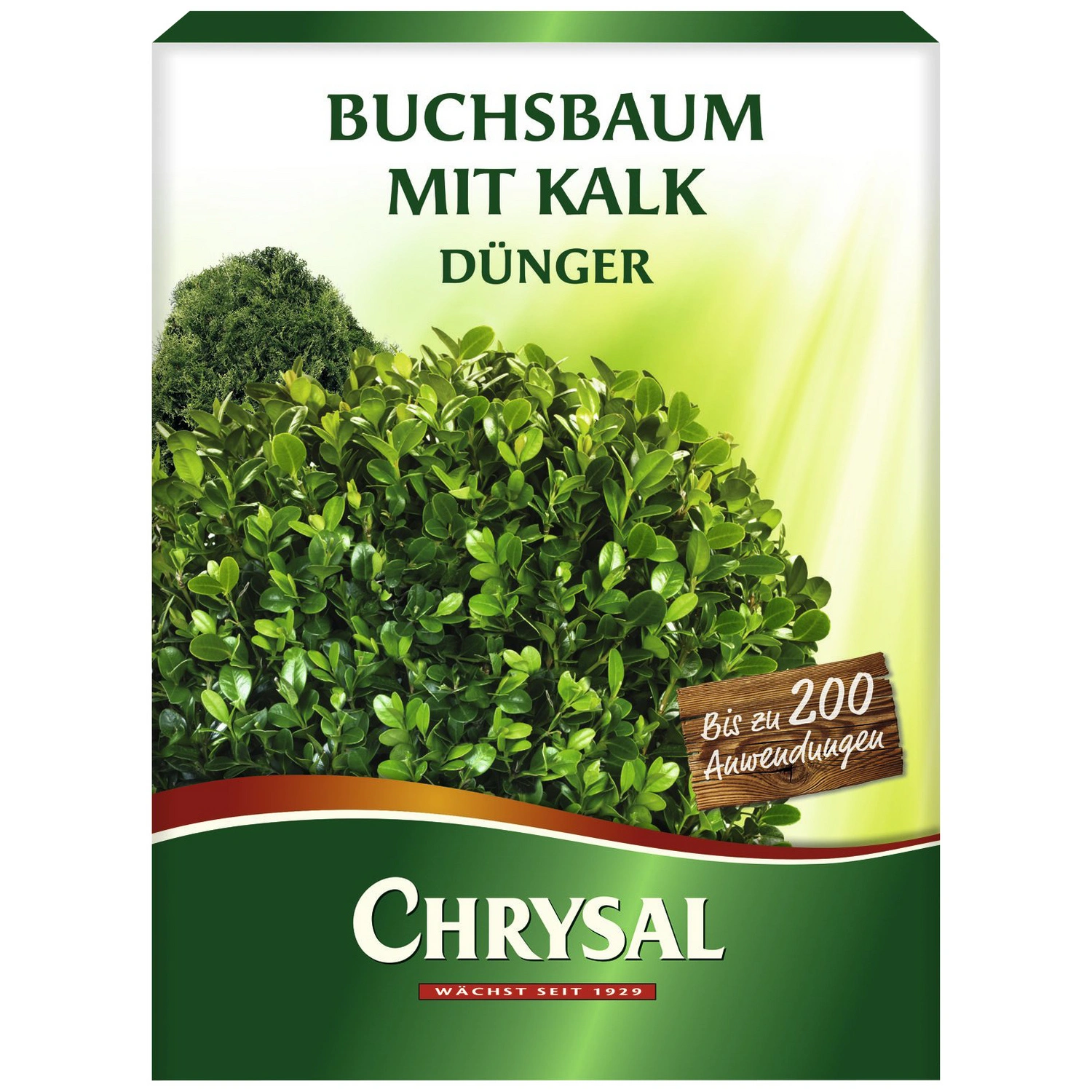 Buchsbaumdünger, schützt vor Nährstoffmangel, Braunfärbung & Magnesiummangel