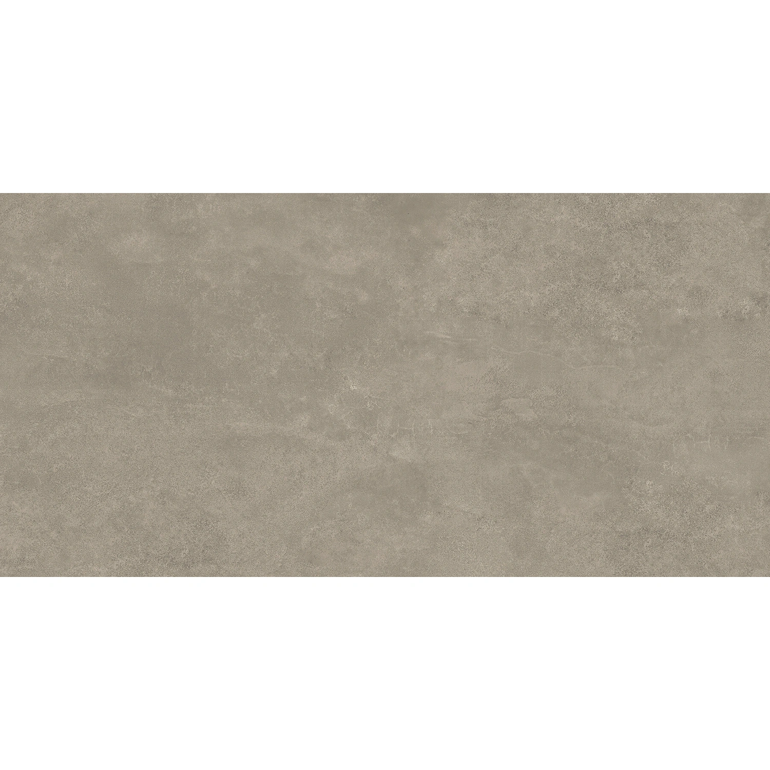 Feinsteinzeugfliese »DESERT LOOK«, BxL: 59,8 x 119,8 cm, rektifiziert, grau matt