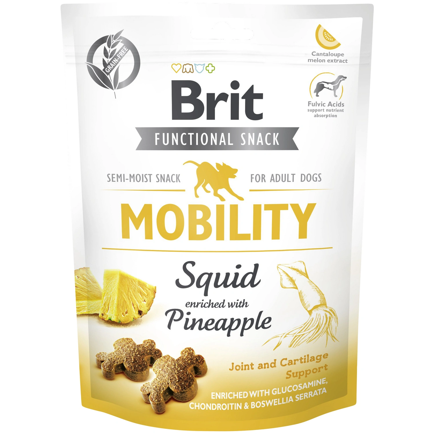 Hundesnack »Mobility«, 150 g, tintenFisch/Ananas