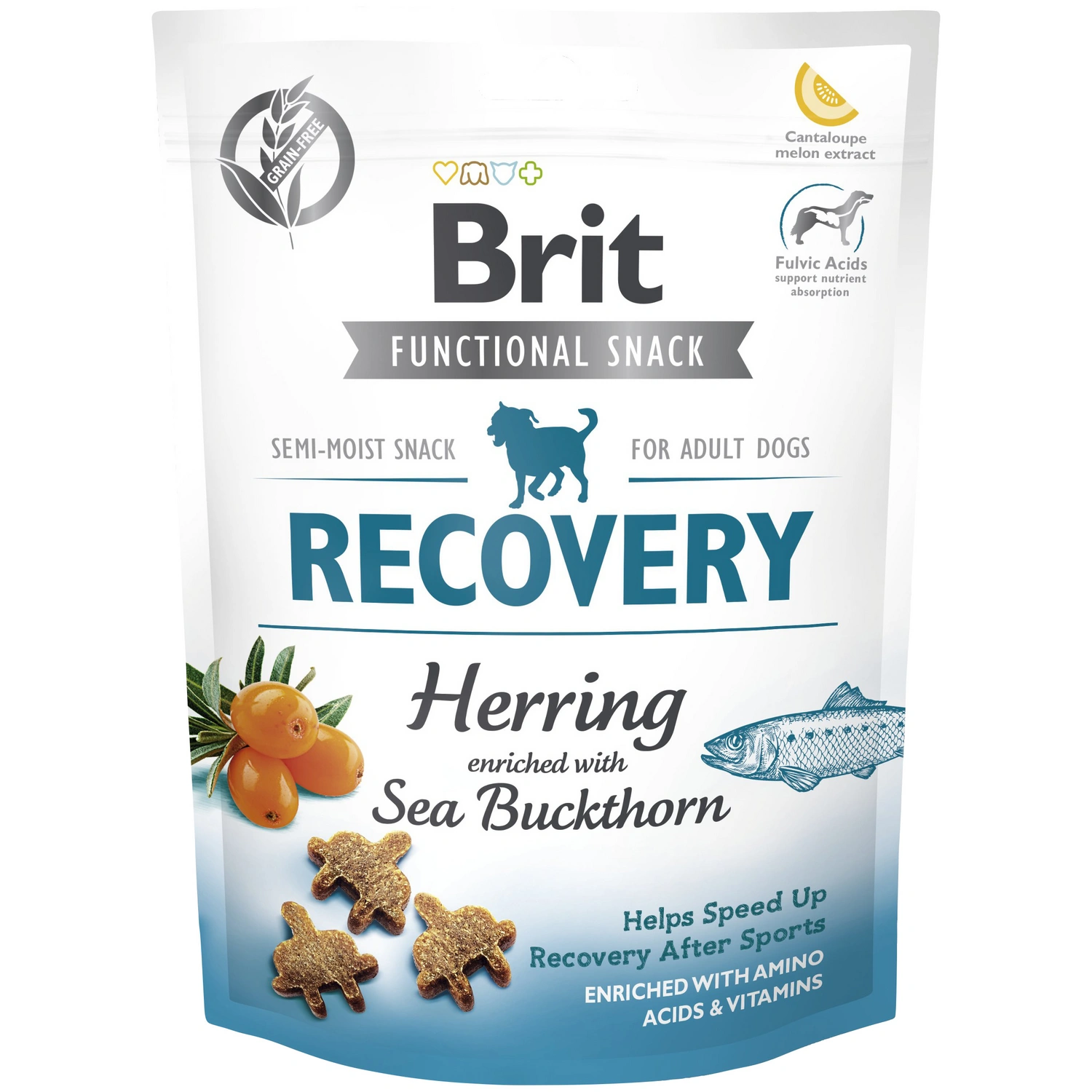 Hundesnack »Recovery«, 150 g, Hering/Sanddorn