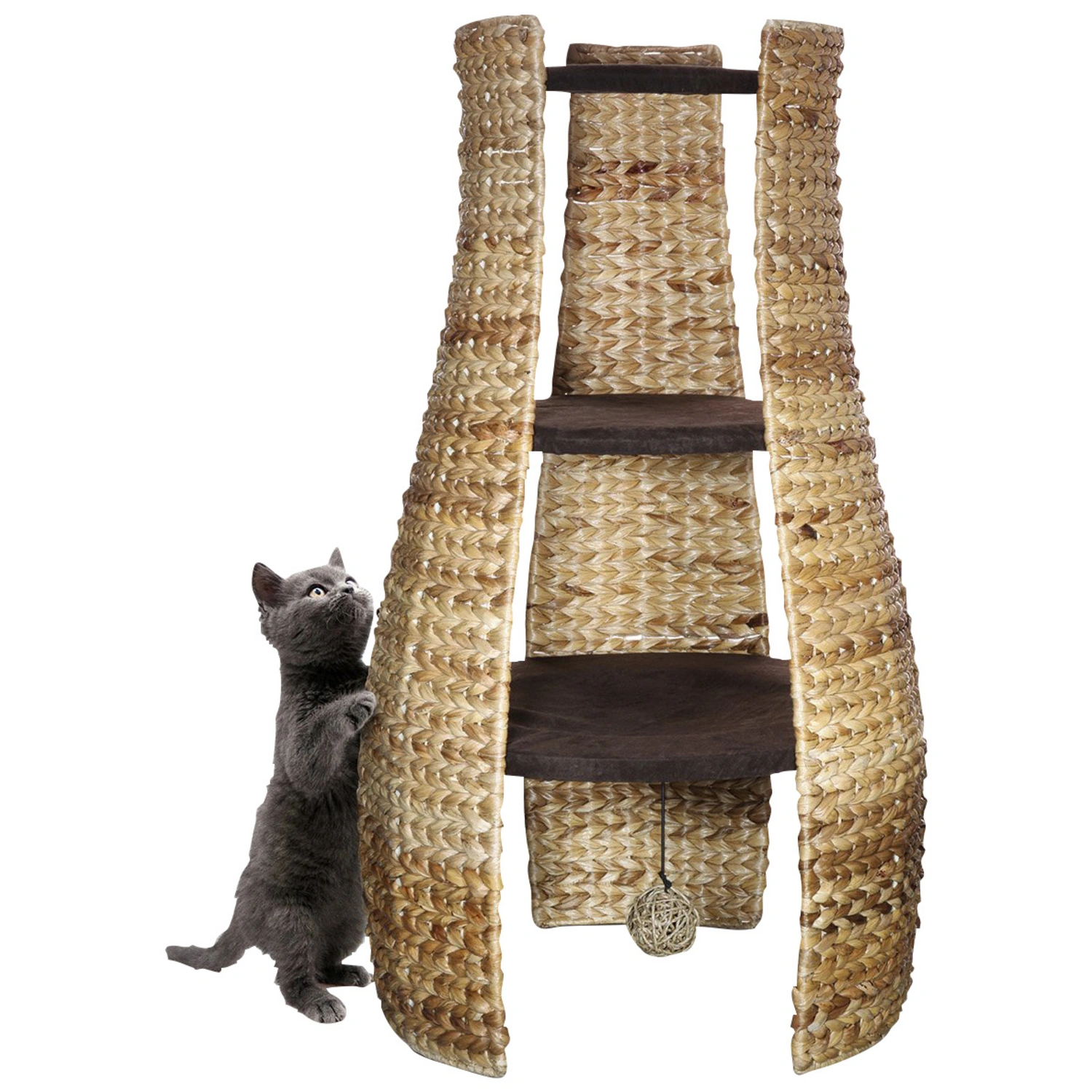 Katzenmöbel, braun, BxH: 18 x 84 cm