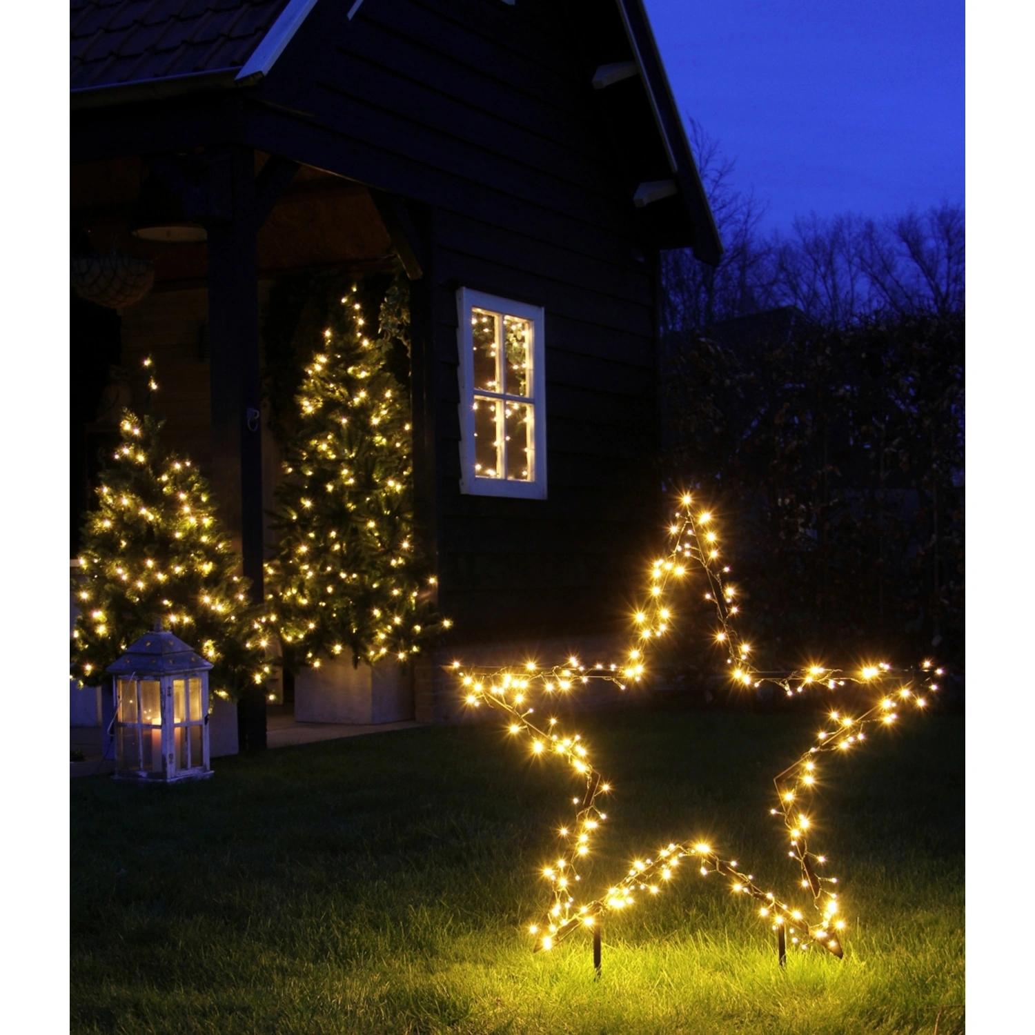 LED-Gartenstecker »Garden d’light«, sternförmig, Höhe: 135 cm, netz