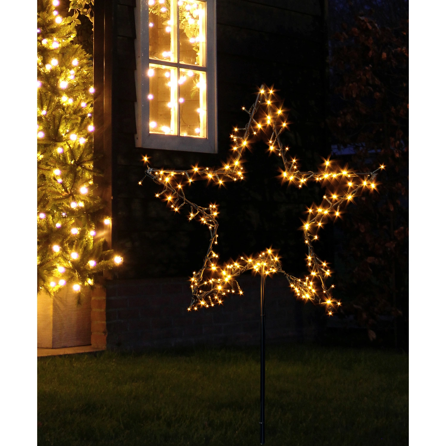 LED-Gartenstecker »Garden d’light«, sternförmig, ø: 60 cm, netz