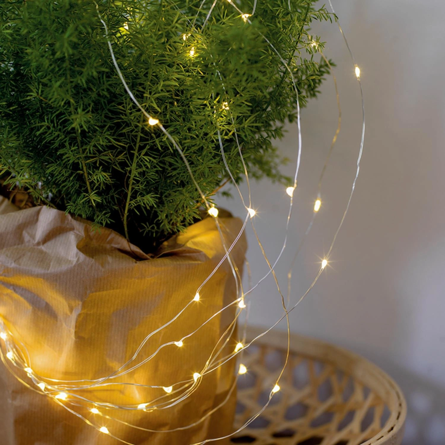 LED-Lichterkette »Micro«, 20 Lichter, warmweiß