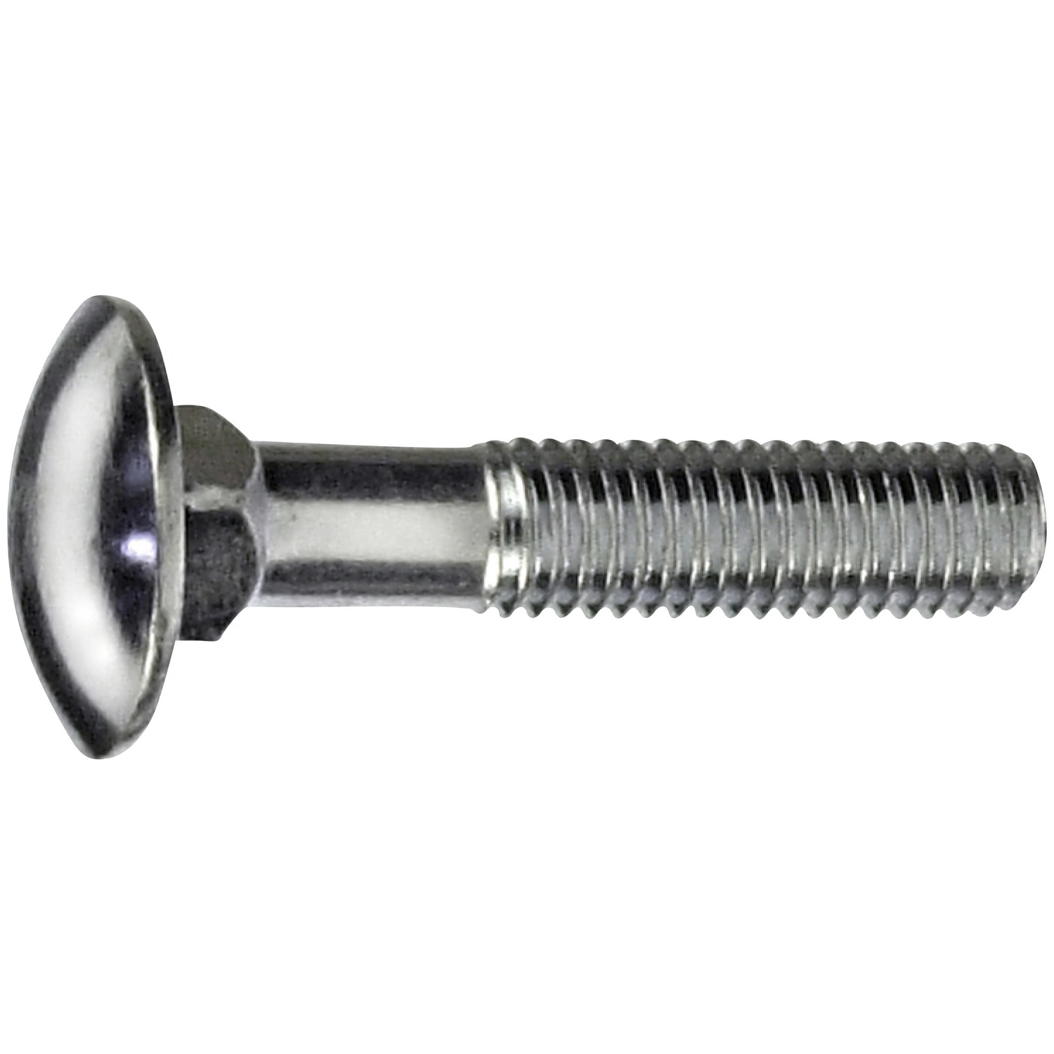 Schlossschraube, ØxL: M5 x 25 mm, Verzinkt
