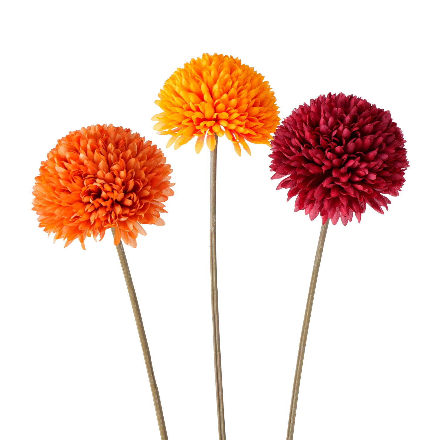 Stielblume »Allium«, Stielblume, bunt