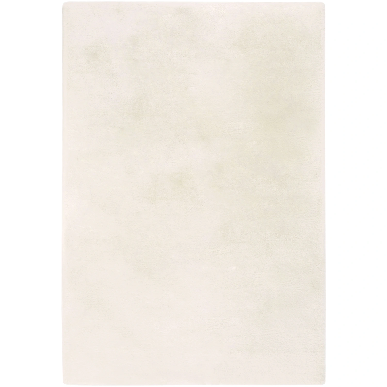 Teppich »Novara«, BxL: 120 x 170 cm, beige